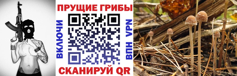 Галлюциногенные грибы мухоморы Ессентуки